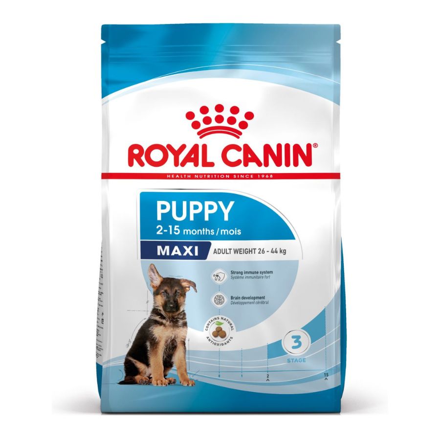 Royal Canin Maxi Puppy